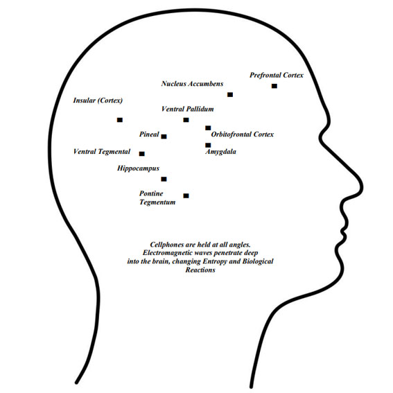 Adiction and Harm from Cellphones - by Barrie Trower