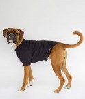 EMF Protective Dog Coat Blokka Amberley
