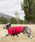 EMF Protective Dog Coat Blokka Taradale