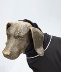EMF Protective Dog Coat Blokka Taradale